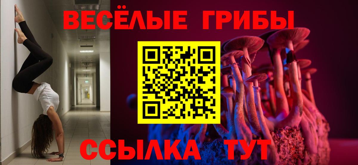 Псилоцибиновые грибы GOLDEN TEACHER Лабинск